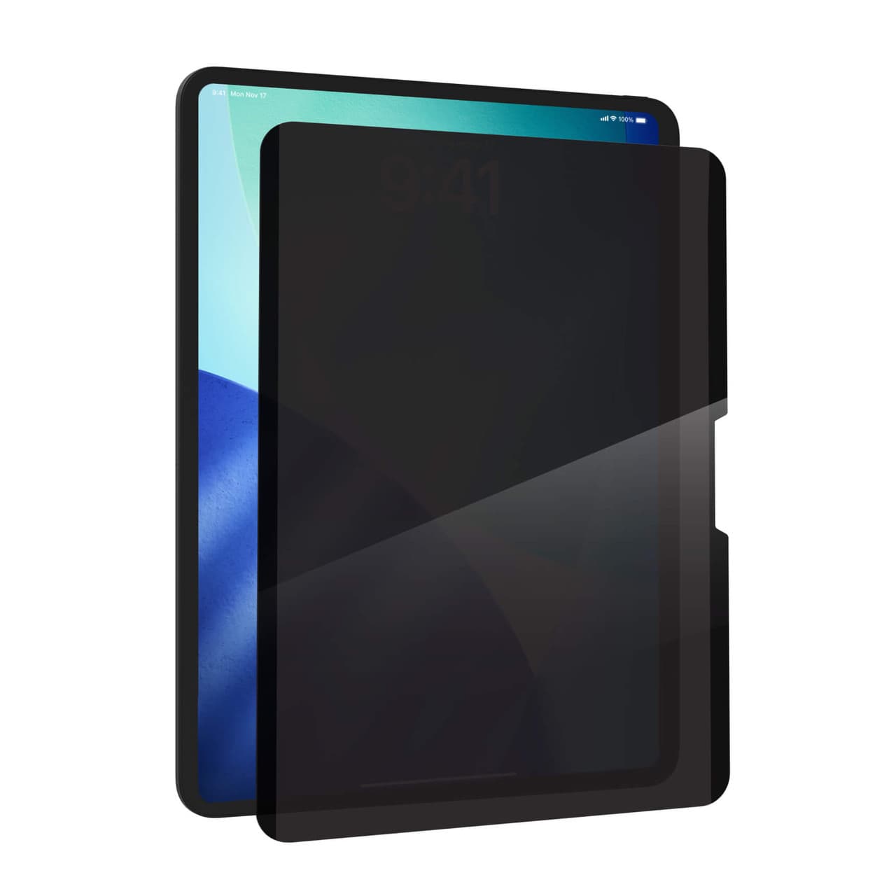ZAGG ZAGG Removable 4-Way Privacy Filter, Apple iPad 13 Pro (M5/M4) 100321057