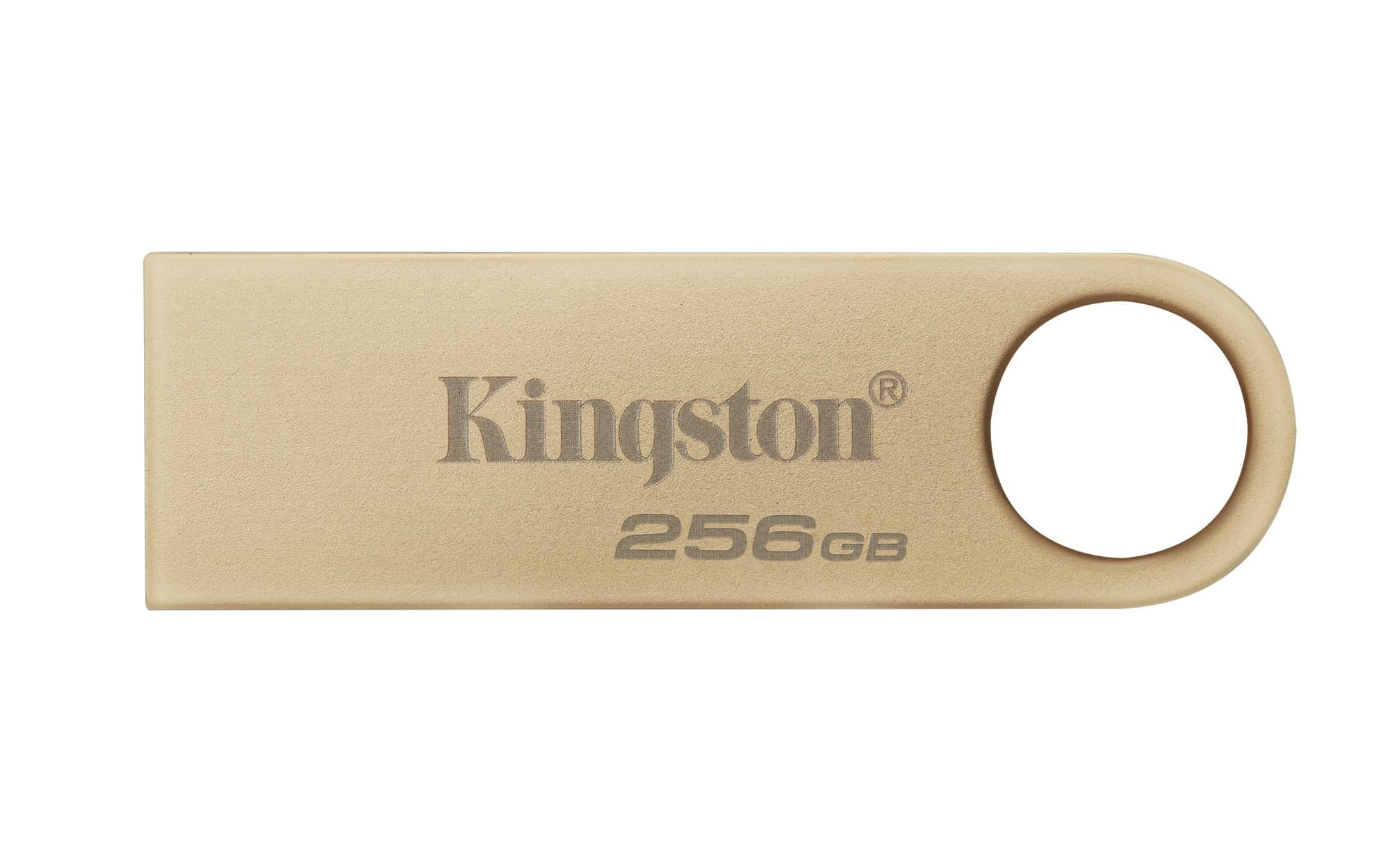 KINGSTON KINGSTON 256GB DT USB 3.2 220MB/s Gen 1 Metal SE9 6147560