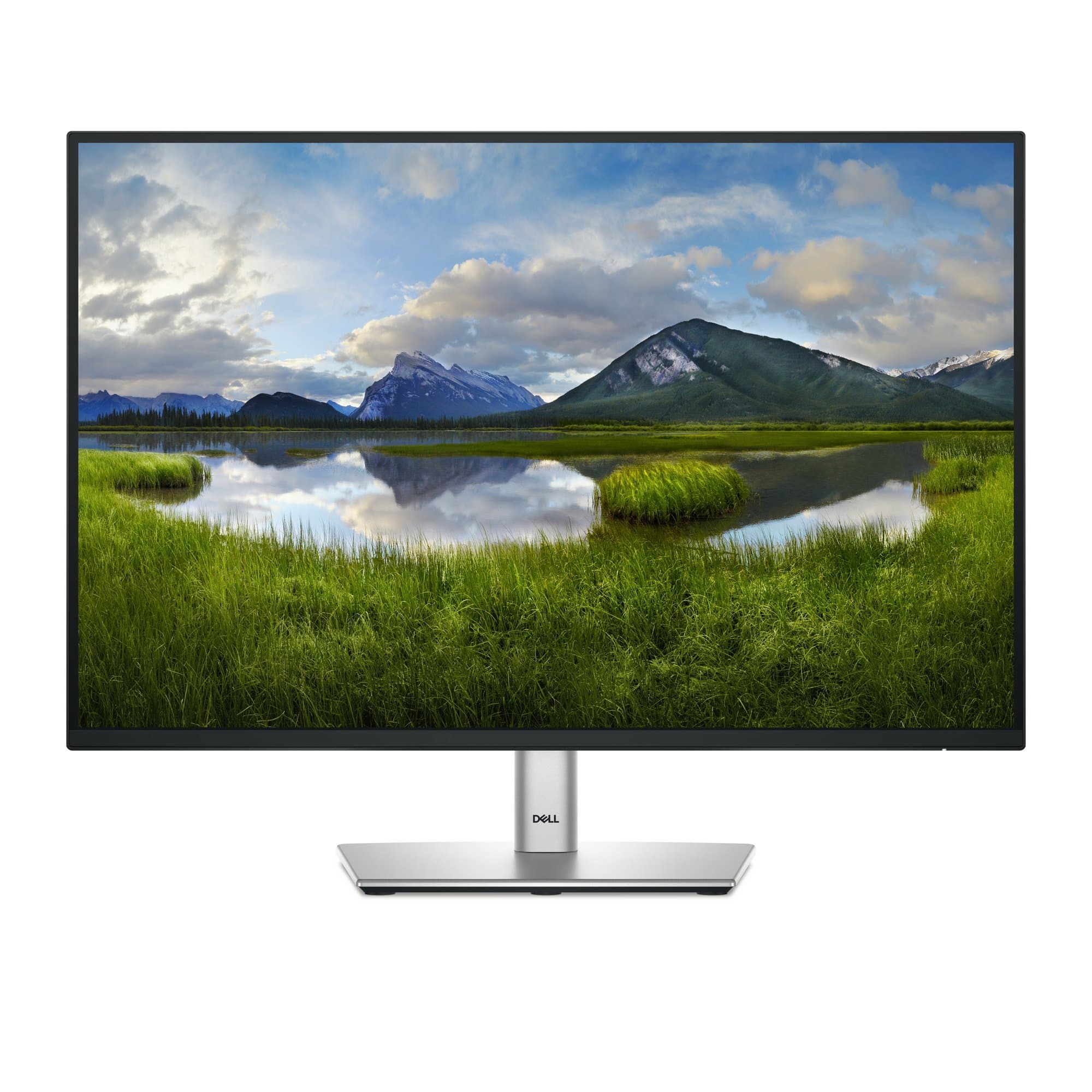 DELL DELL MONITOR P2425E 6252452