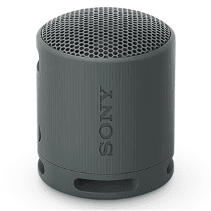 Sony Sony SRSXB100H Wireless Speaker Grey SPA773