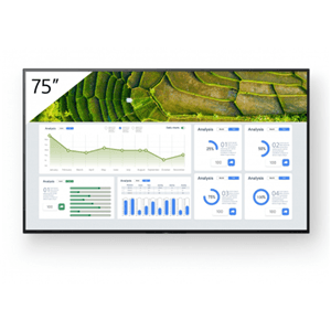 Sony Bravia Sony Bravia FW75BZ30L 75" 4K Ultra HD HDR Professional Display STVD173