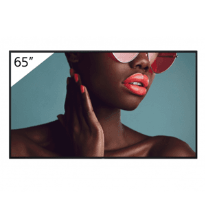 Sony Bravia Sony Bravia FW65BZ40L 65" 4K Ultra HD HDR Professional Display STVD363