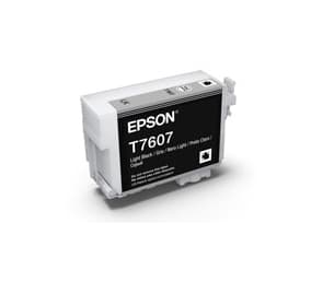 Epson Epson 760 Light Black Ink Cart E760LB