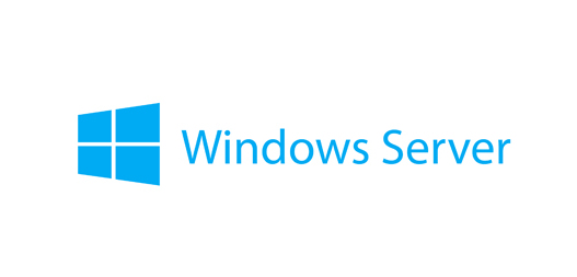 LENOVO MS WIN SERBER 2025 DATACENTER ROK (16 core) - MultiLang LENOVO — view 2
