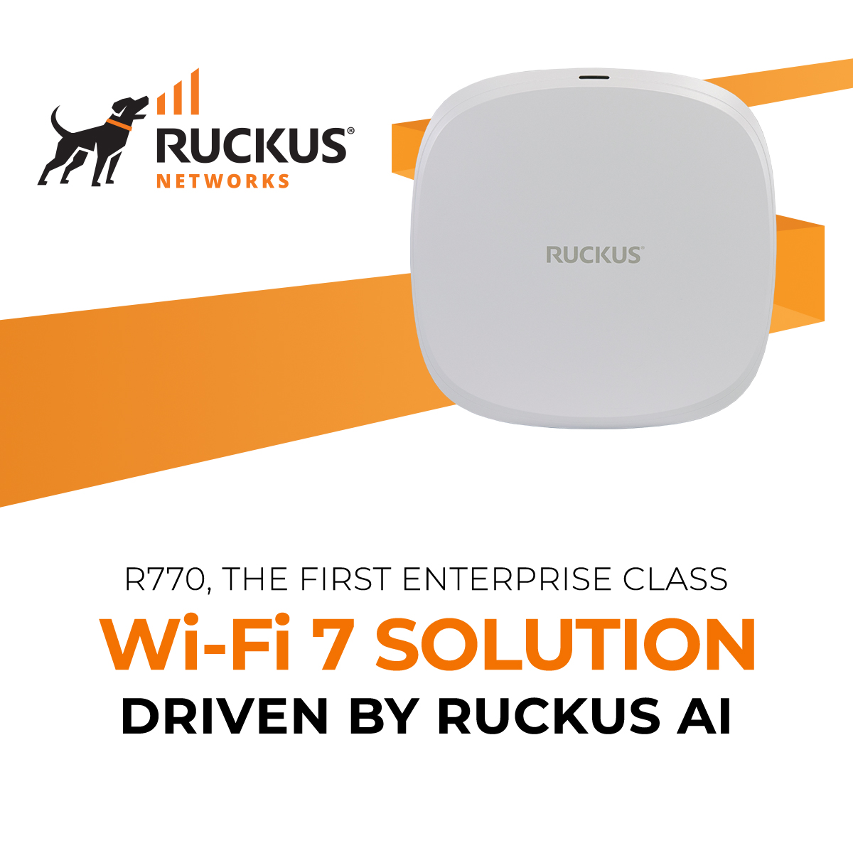 RUCKUS Networking