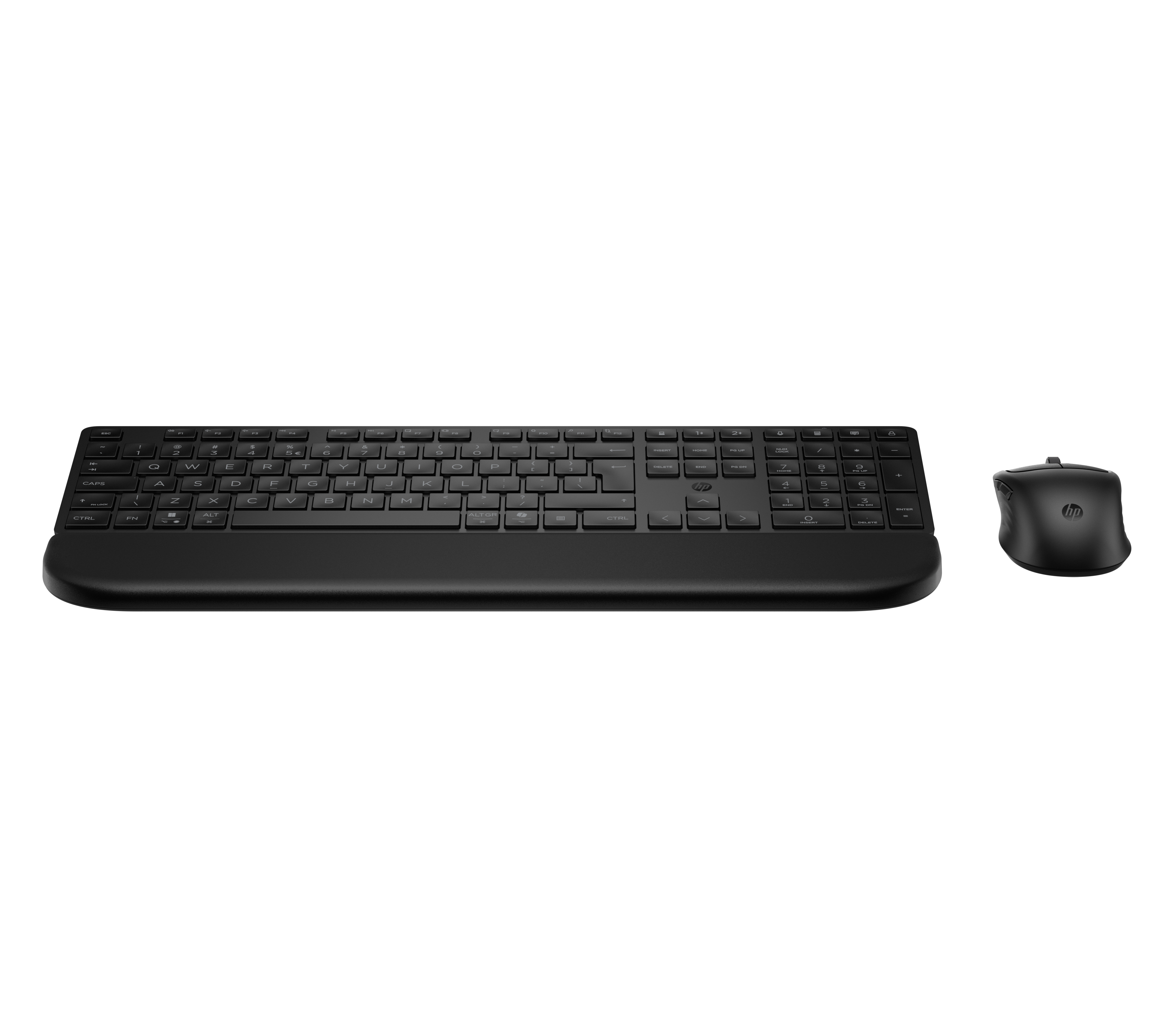 HP Laptops & Computers