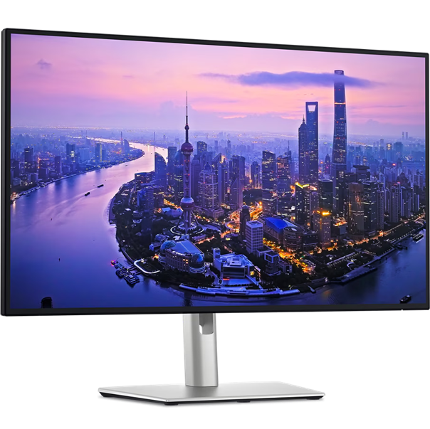 DELL Monitors