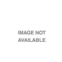 Epson S050149 BLK Toner for C4100 EPSON — view 2