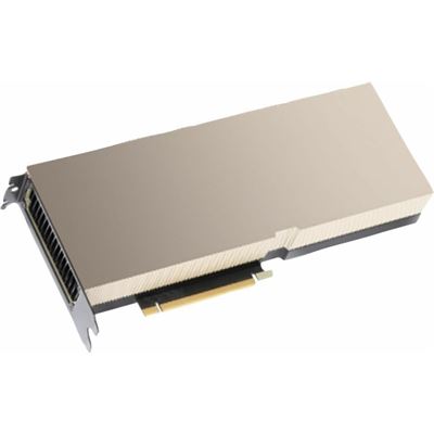 Hewlett Packard Enterprise NVIDIA A10 24GB PCIe NonCEC Accelerator Hewlett Packard Enterprise — view 1