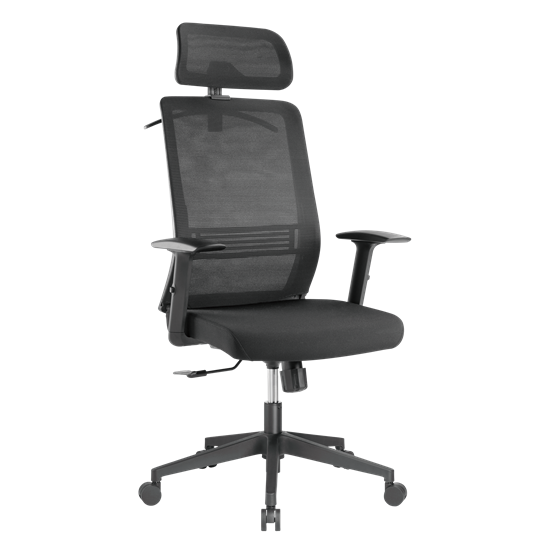 BRATECK Office Chair with Headrest. Ergonomic & Breathable Mesh Back. Brateck — view 2