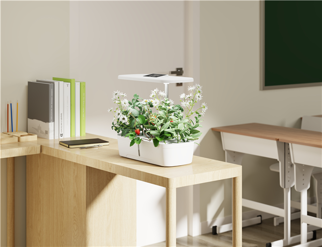 Digitus Furniture & Ergonomics
