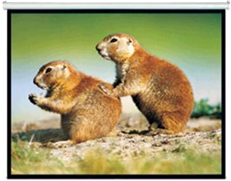 Brateck 150" 4:3 Pull Down Projector Screen Matte Brateck — view 2