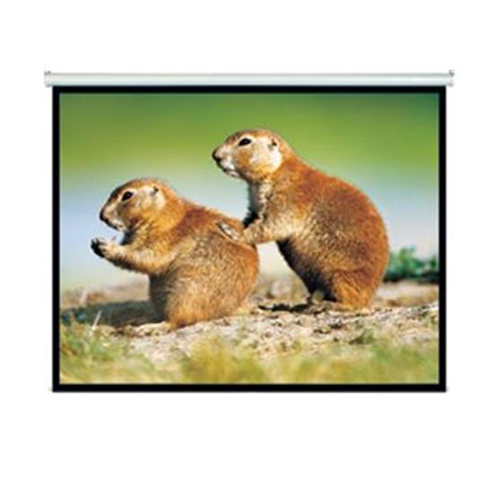 Brateck Projection Screens