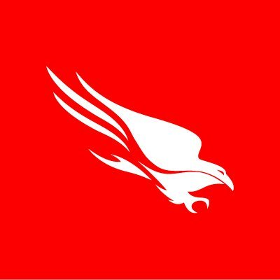 CrowdStrike Data Protection Add-on CrowdStrike — view 2