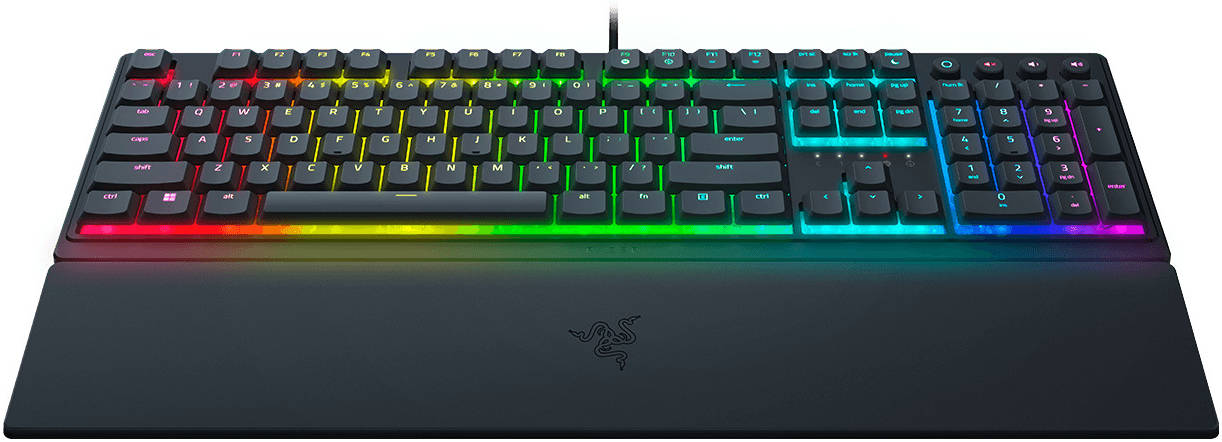 Razer Peripherals & Accessories